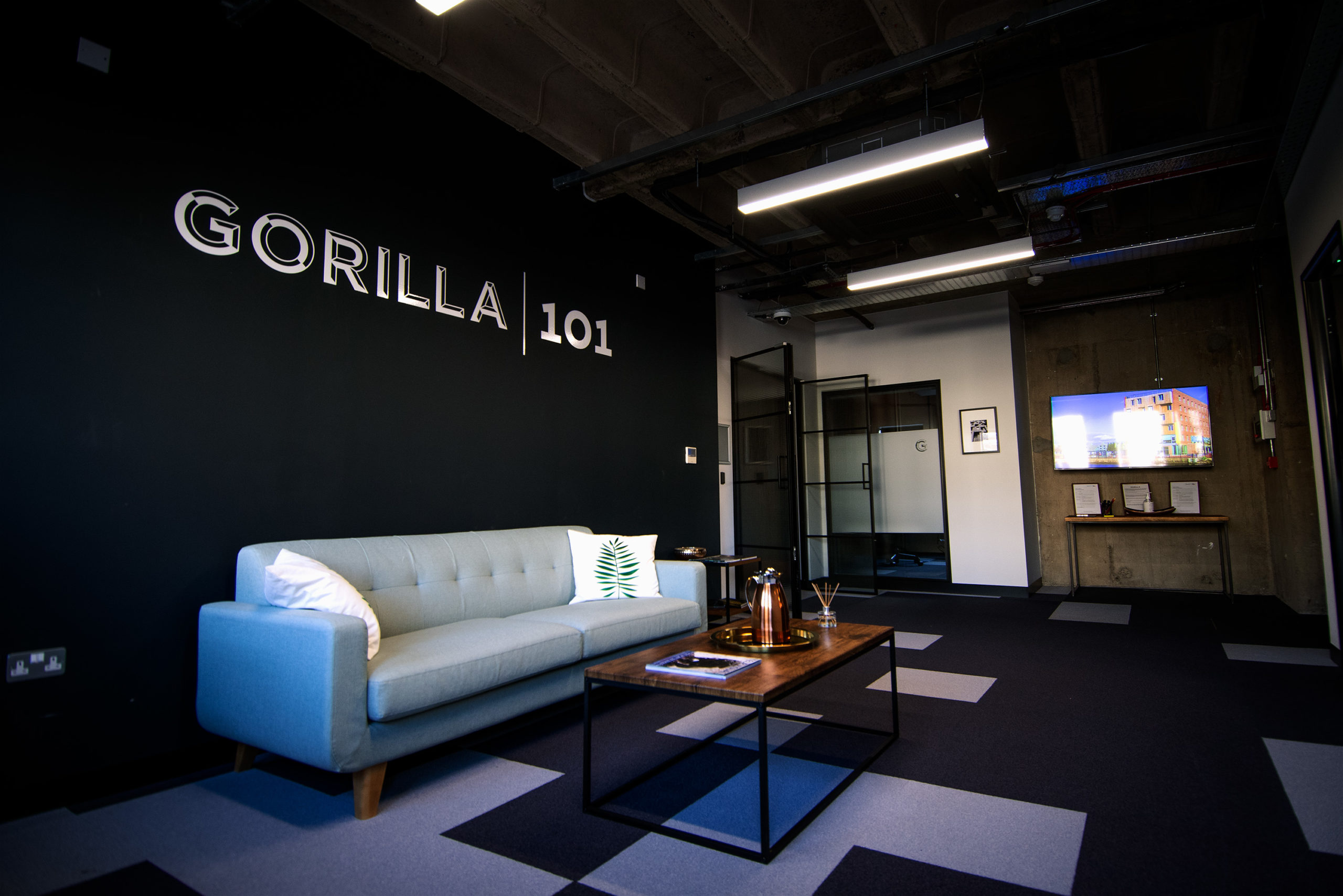 Gorilla 101