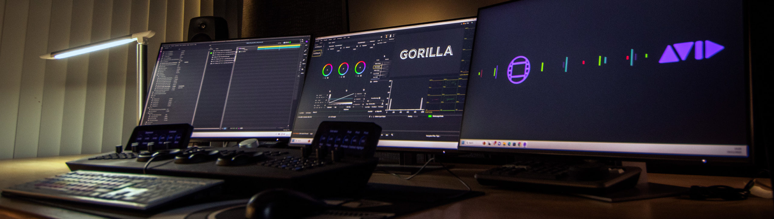 Gorilla Panoramic